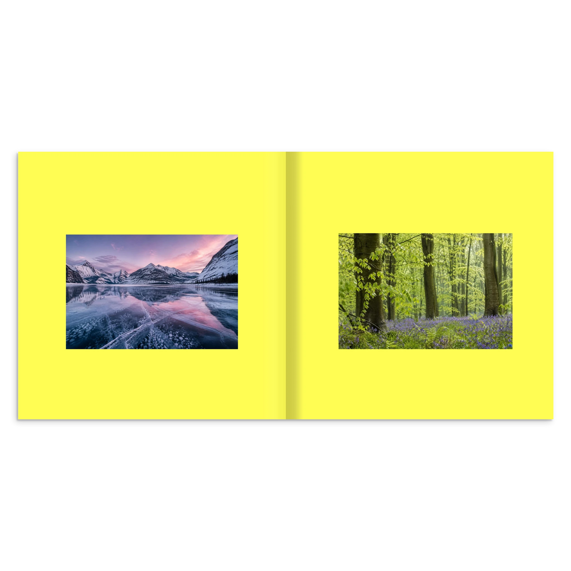 3802aab7-f8c6-431c-9d69-b004bc9b94b0