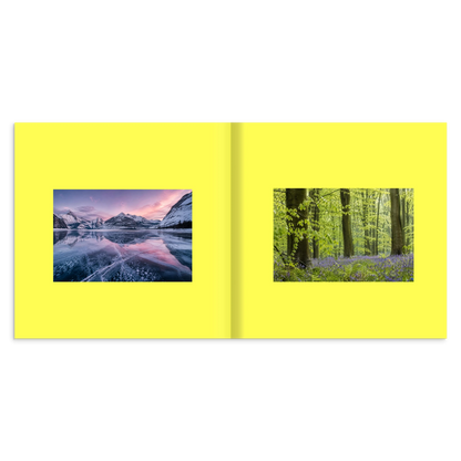 3802aab7-f8c6-431c-9d69-b004bc9b94b0